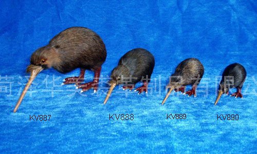 KV887-890,ʝøƷ޹˾(zhun)I(y)Ƥë(dng)a(chn)S(chng)