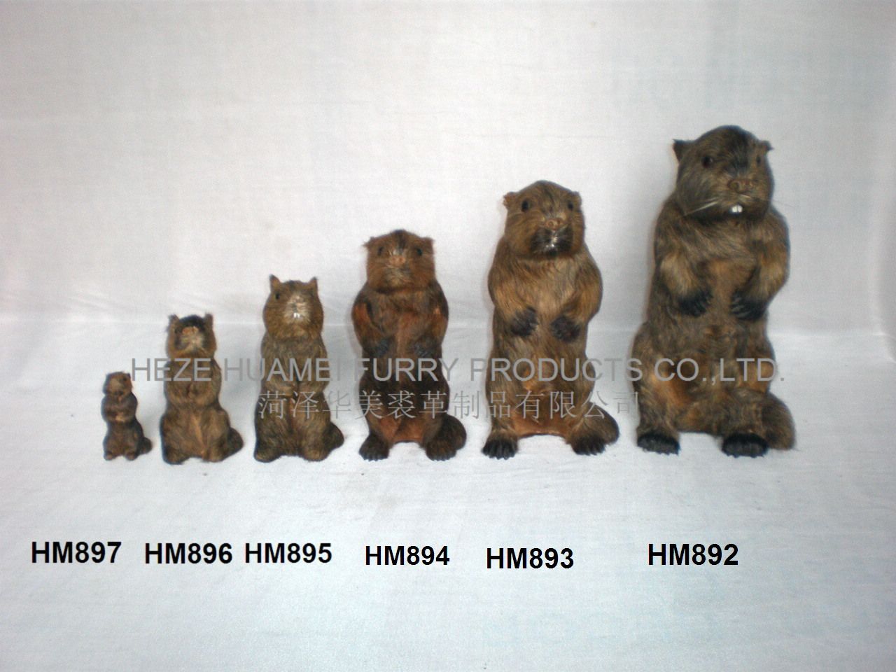 HM892,ʝøƷ޹˾(zhun)I(y)Ƥë(dng)a(chn)S(chng)