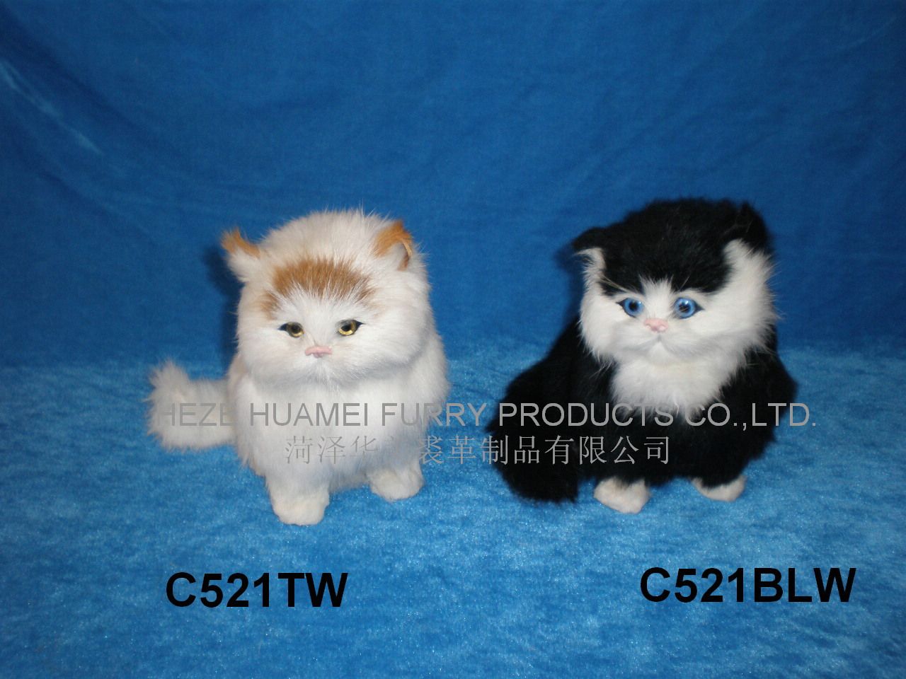 C521TW    C521BLW,ʝøƷ޹˾(zhun)I(y)Ƥë(dng)a(chn)S(chng)