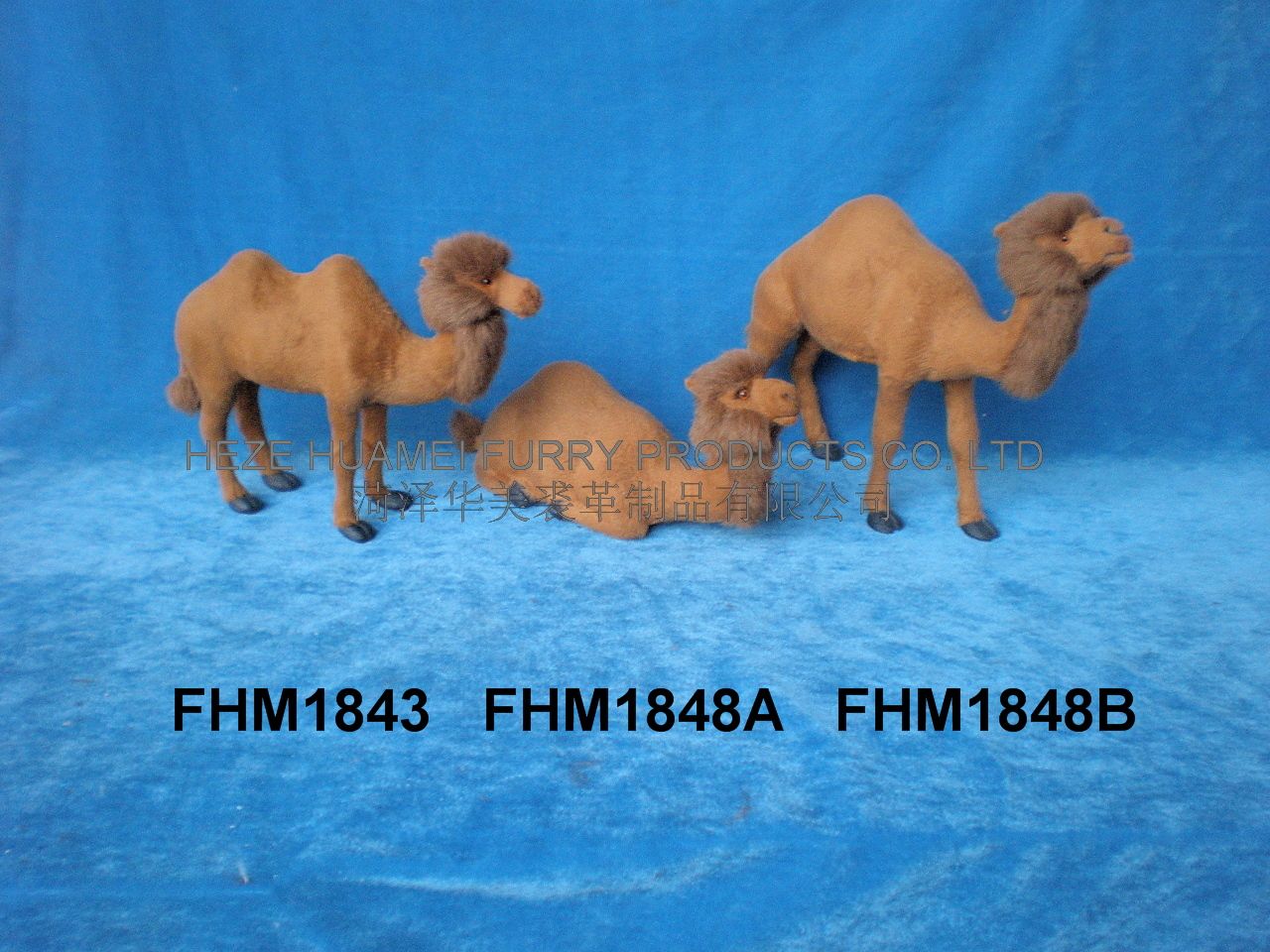 FHM1843   FHM1848A    FHM1848B,ʝøƷ޹˾(zhun)I(y)Ƥë(dng)a(chn)S(chng)