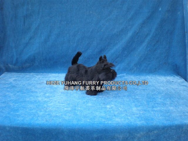 FD1706,ʝøƷ޹˾(zhun)I(y)Ƥë(dng)a(chn)S(chng)